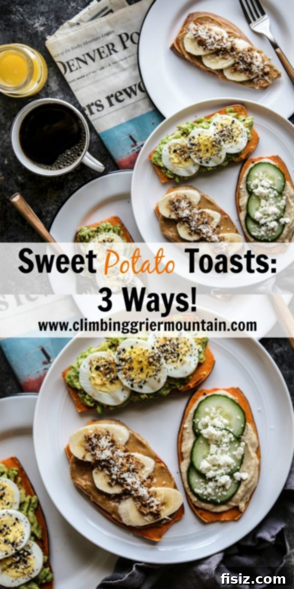 Sweet Potato Toast Trio Delights 9 A collection of colorful and healthy sweet potato toasts, showcasing their potential as a nutritious meal
