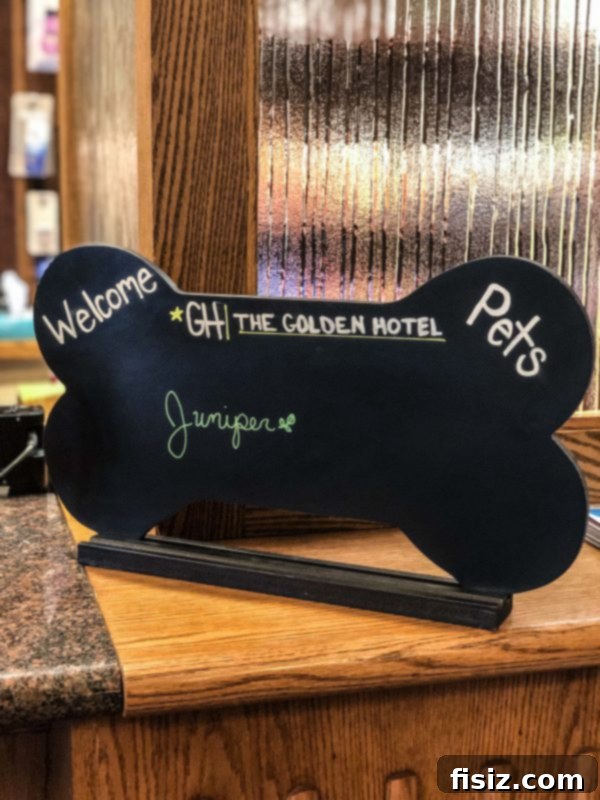 Golden Colorado Your Ultimate 24 Hour Travel Guide 6 Stylish hotel room at The Golden Hotel