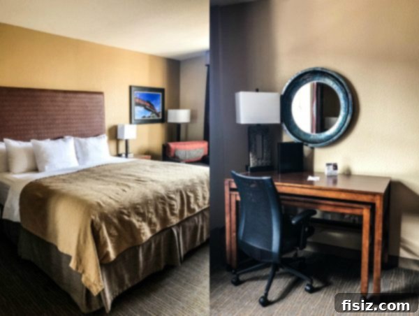 Golden Colorado Your Ultimate 24 Hour Travel Guide 8 Close-up of Juniper the dog with a hotel view