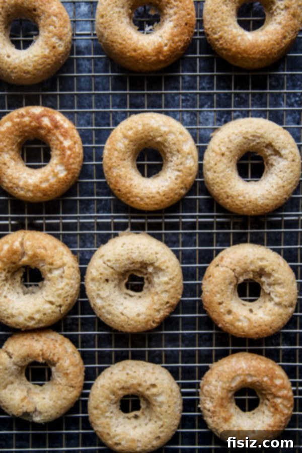 Tropical Hummingbird Doughnuts with Zesty Citrus Glaze 4 Homemade Baked Hummingbird Doughnuts