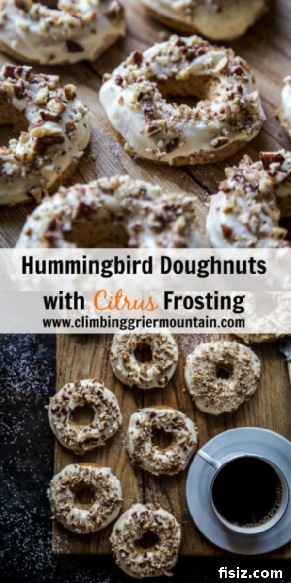Tropical Hummingbird Doughnuts with Zesty Citrus Glaze 8 Final presentation of Hummingbird Doughnuts with Citrus Frosting