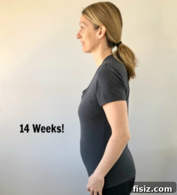 Second Trimester Milestones: My Weeks 14-18 Journey 3 Illustration of a lemon representing baby's size at 14 weeks pregnant