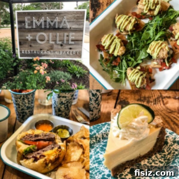 Fredericksburg Texas Explore Stay Dine 15 Freshly prepared salad and sandwich at Emma + Ollie restaurant
