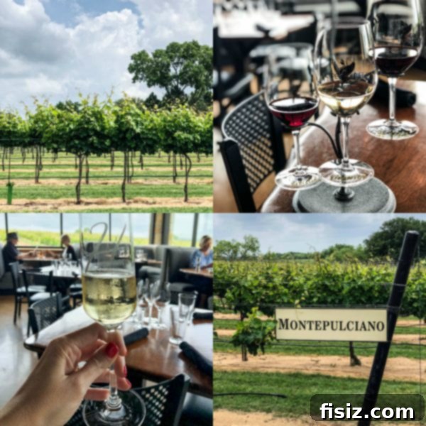 Fredericksburg Texas Explore Stay Dine 26 Inviting patio seating overlooking the picturesque Grape Creek Vineyards