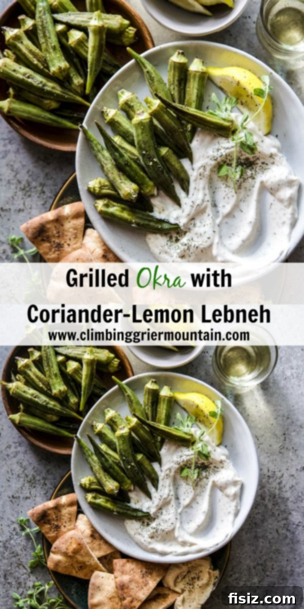 Vibrant Grilled Okra with Citrus-Herb Labneh 7 Grilled Okra with Coriander-Lemon Lebneh