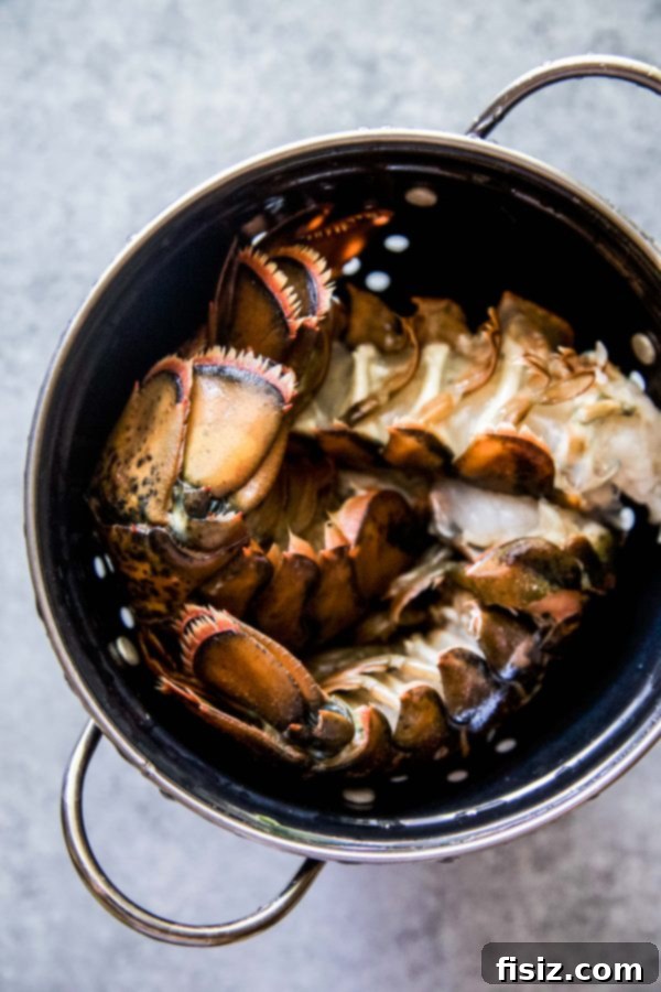 Fresh, high-quality lobster, the star ingredient in Lobster Croque Madame.
