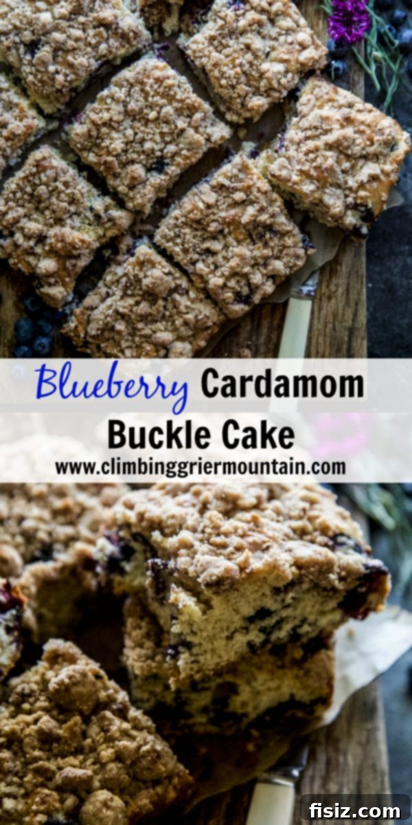 Cardamom-Kissed Blueberry Buckle Cake 9 A slice of Blueberry Cardamom Buckle Cake on a plate