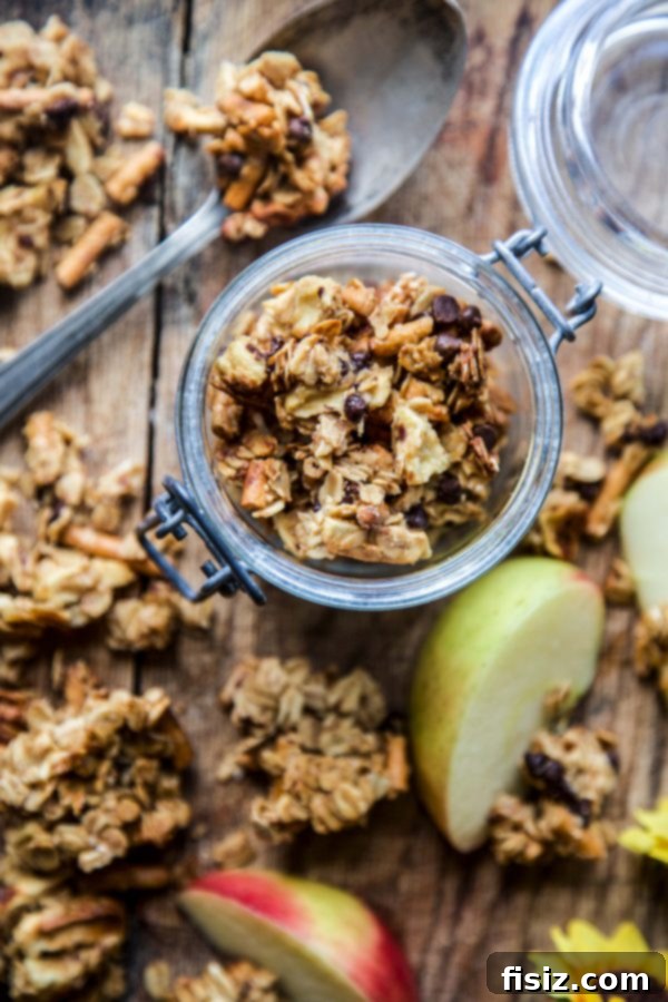 Decadent Chocolate Peanut Butter Apple Granola 4 Chunky Chocolate Peanut Butter Apple Granola served with fresh apple slices and cheese on a wooden board
