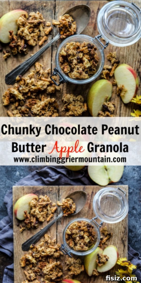 Decadent Chocolate Peanut Butter Apple Granola 7 Beautifully stacked Chunky Chocolate Peanut Butter Apple Granola bars on a plate