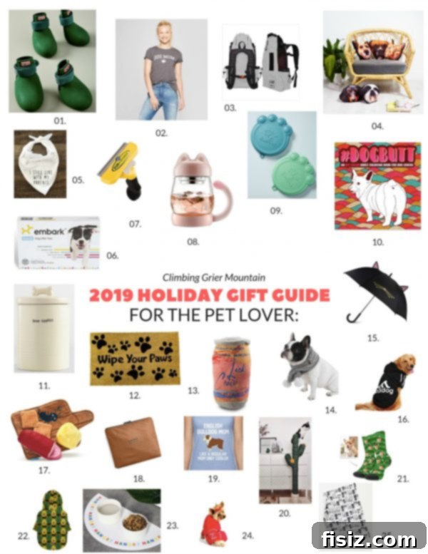 CGM 2019 Holiday Gift Ideas for Animal Lovers 2 A dog in a cozy, festive setting, embodying the spirit of a pet lover's gift guide.