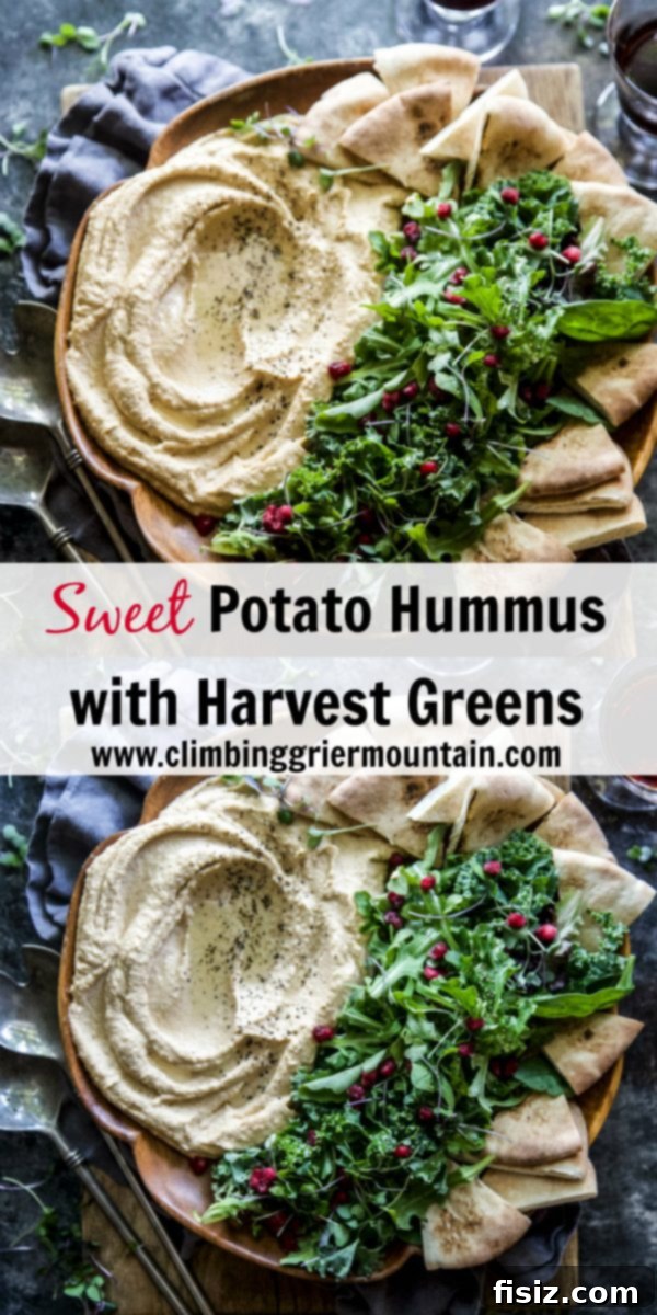Golden Sweet Potato Hummus with Fresh Harvest Greens 6 Beautifully plated Sweet Potato Hummus with Harvest Greens and pomegranate arils, ready for a feast