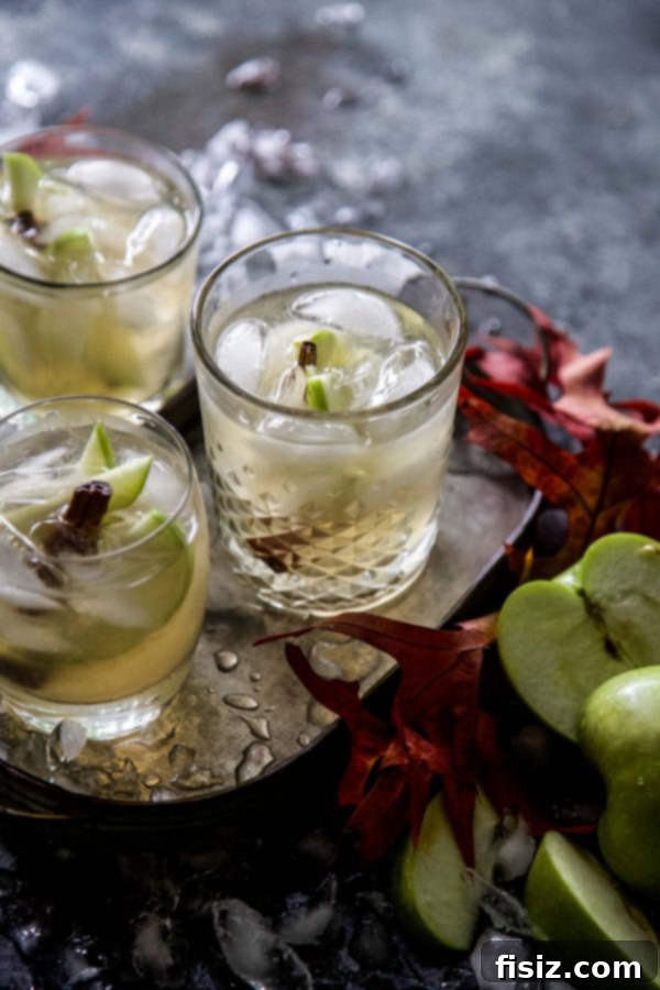 Spiced Apple Ginger Spirit 4 Overhead shot of an Apple Ginger Cocktail, garnished with apple slices and a cinnamon stick, against a warm, inviting background.