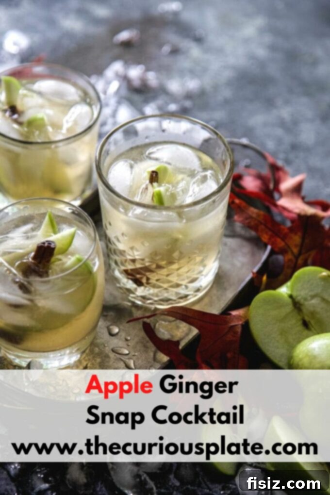 Spiced Apple Ginger Spirit 5 A high-angle shot of a beautifully garnished Apple Ginger Cocktail in a coupe glass, with a cozy, blurred background suggesting a fall setting.
