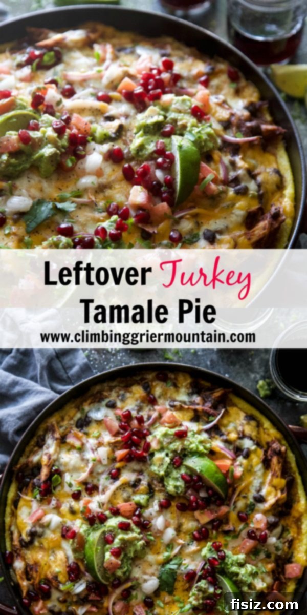 Fiesta Turkey Tamale Pie 7 A generous serving of Leftover Turkey Tamale Pie on a plate, garnished with fresh cilantro and avocado.
