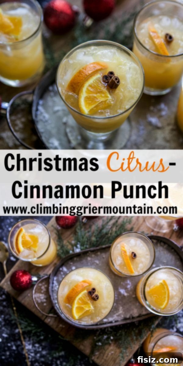 Yuletide Citrus and Cinnamon Cheer 7 Christmas Citrus-Cinnamon Punch