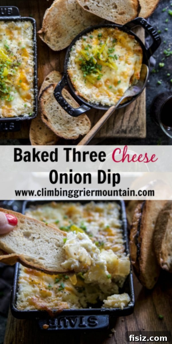 Golden Three-Cheese Onion Indulgence 11 Baked Three Cheese Onion Dip