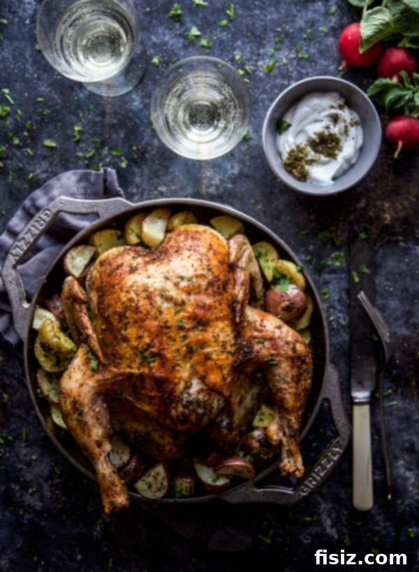 Mediterranean Za'atar Chicken and Potatoes with Spiced Labneh 7 A beautifully plated serving of Za'atar Roasted Chicken, potatoes, and spiced labneh garnished with fresh herbs