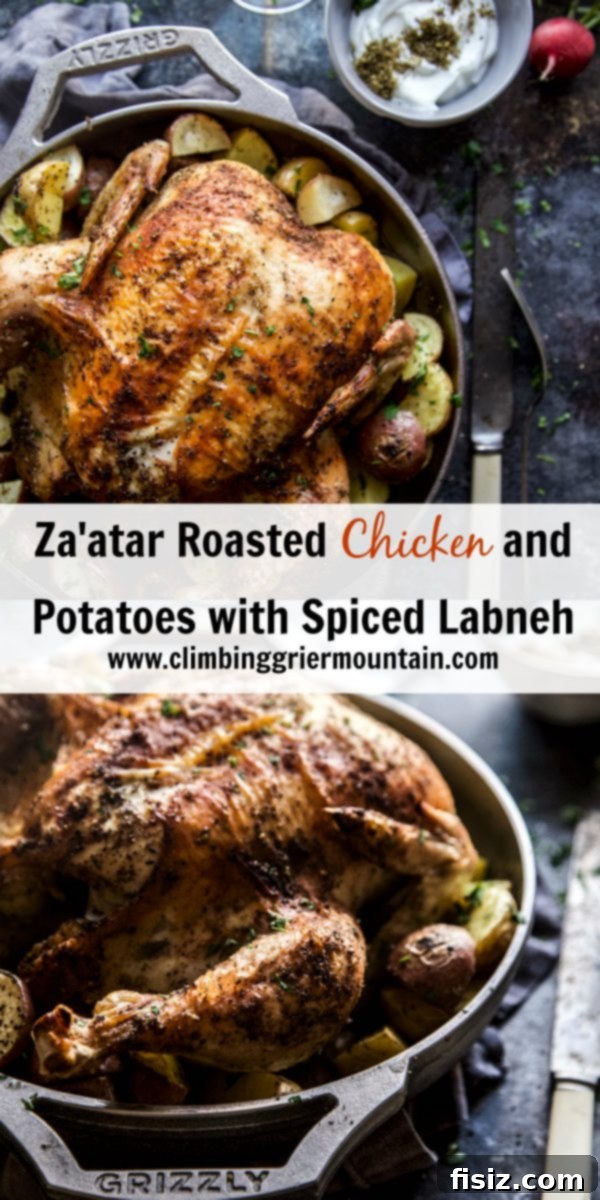 Mediterranean Za'atar Chicken and Potatoes with Spiced Labneh 9 Beautifully garnished Za'atar Roasted Chicken and Potatoes with Spiced Labneh on a rustic plate, ready to be enjoyed