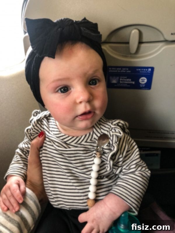 Four Months with Charlie 7 Charlie looking curious in her car seat, ready for adventure during her first airplane flight