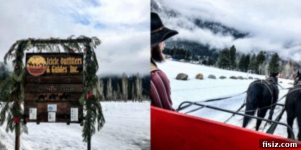 Leavenworth Washington A Bavarian Adventure Guide Stay Dine Explore 28 Horse-drawn sleigh ride through a snowy landscape with mountains.