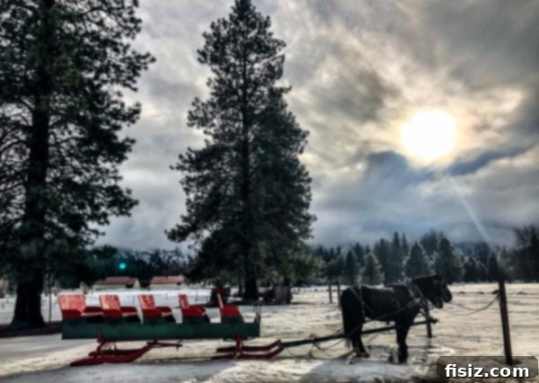 Leavenworth Washington A Bavarian Adventure Guide Stay Dine Explore 29 Sleigh ride participants enjoying the snowy mountain scenery.