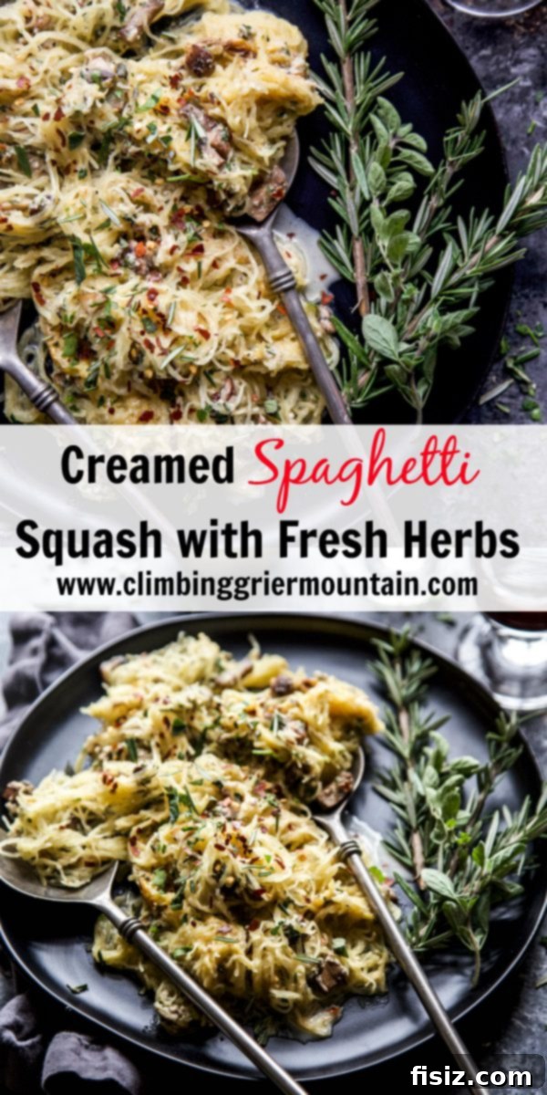 Herbed Creamy Spaghetti Squash 8 A top-down view of the Creamed Spaghetti Squash with Fresh Herbs, showcasing its texture and vibrant colors.