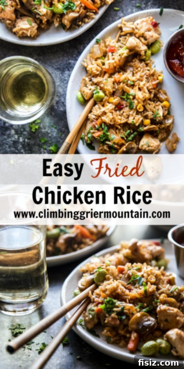 Effortless Homemade Chicken Fried Rice 8 A vibrant bowl of Easy Chicken Fried Rice, perfectly garnished with fresh herbs and ready to be served, showcasing its delicious texture.