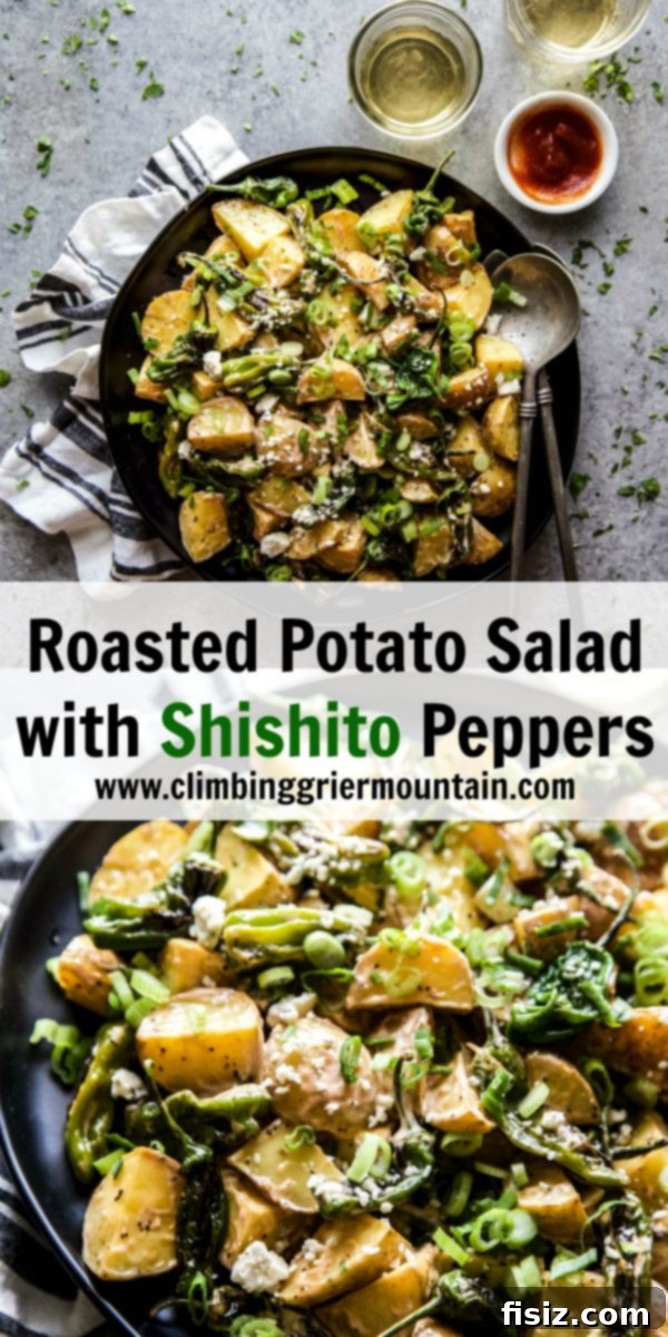Smoky Roasted Potato Salad with Blistered Shishitos 8 Serving bowl of Roasted Potato Salad with Shishito Peppers and Sriracha Aioli