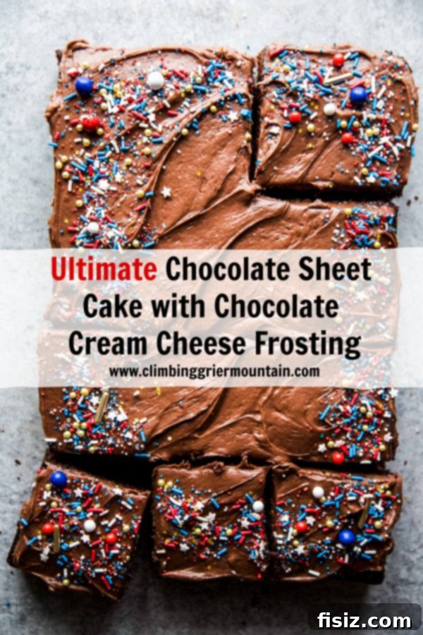 Decadent Double Chocolate Sheet Cake with Cream Cheese Frosting 8 A freshly baked chocolate sheet cake with frosting, ready to be served.
