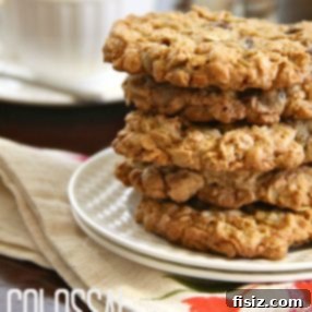Giant Chewy Peanut Butter Chocolate Oat Cookies 2 Peanut Butter Chocolate Oat Cookies