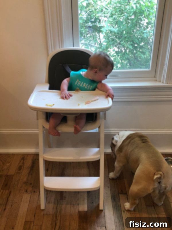 Charlie's Eighth Chapter 5 Close-up of baby Charlie eating in her high chair