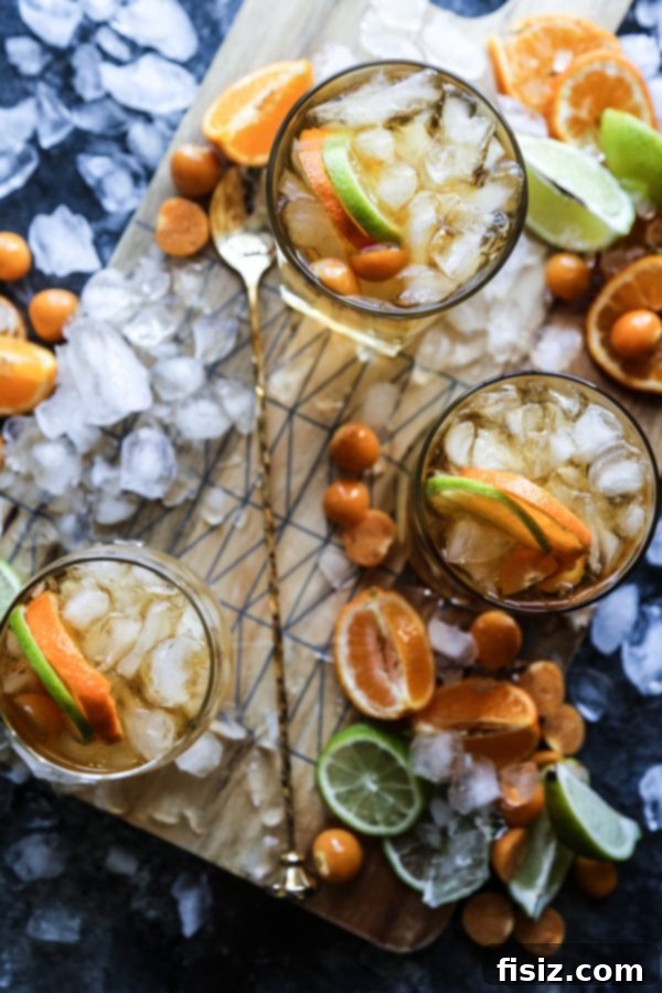 Fresh Mint Rosé Aperol Spritz 11 Cool Orange Ginger Julep cocktail with a citrus garnish