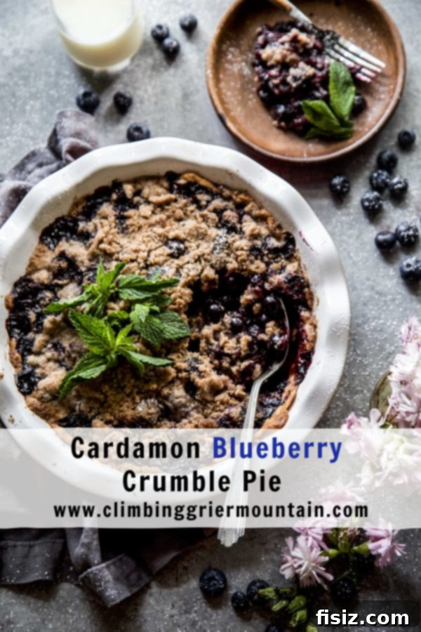 Cardamom-Kissed Blueberry Crumble Pie 8 Single serving of Cardamom Blueberry Crumble Pie with a scoop of vanilla ice cream