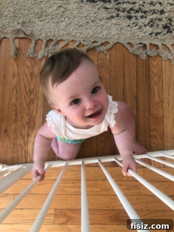 Nine Months of Life with Charlie 4 Baby Charlie happily playing near a wooden baby gate, showing a secure living space.
