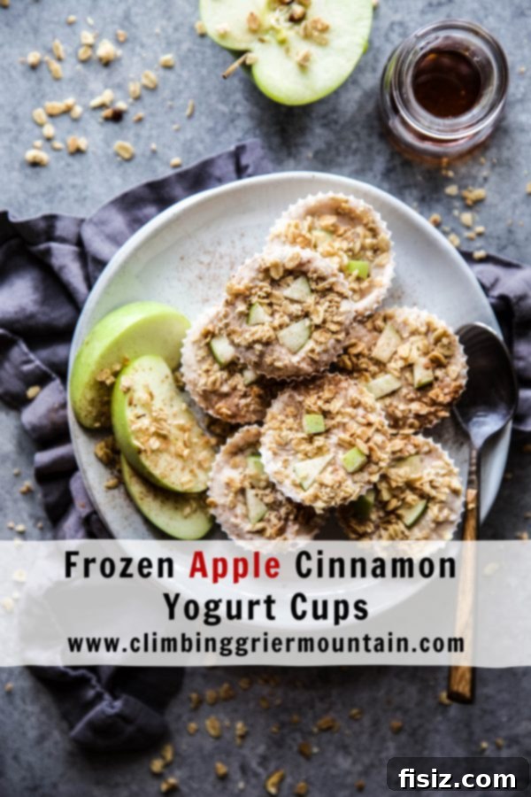A final close-up shot of a Frozen Apple Cinnamon Yogurt Cup, ready to be enjoyed.