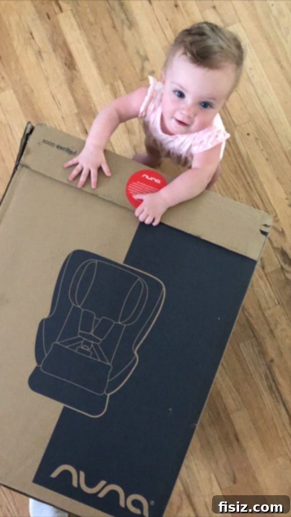Ten Months of Life with Charlie 10 Charlie in her new Nuna convertible car seat