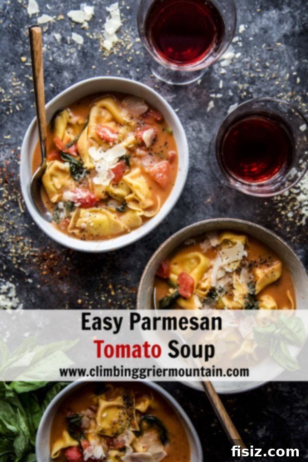 Quick Parmesan Tomato Delight 7 Overhead shot of a bowl of Easy Parmesan Tomato Soup with basil, ready to eat
