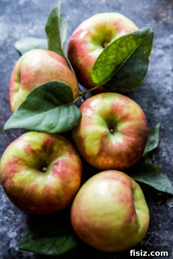 Honeycrisp Tart with Sharp Cheddar and Rosemary Honey 5 Thinly sliced Honeycrisp apples arranged on the pie crust, ready for the cheese.