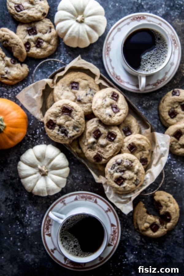 Pumpkin Butter Chocolate Chip Delights 6 Stack of Chocolate Chip Pumpkin Butter Cookies ready to be enjoyed