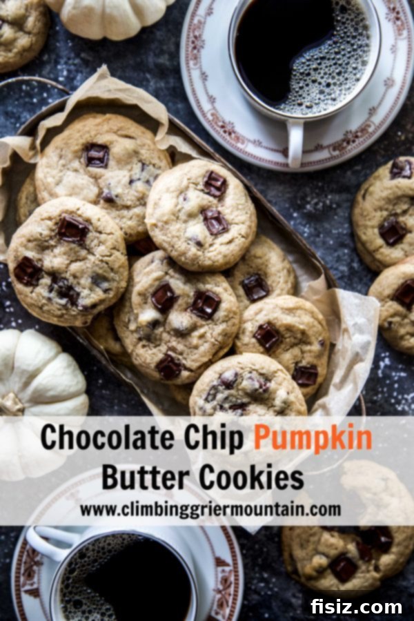 Pumpkin Butter Chocolate Chip Delights 7 Chocolate Chip Pumpkin Butter Cookies on a cooling rack