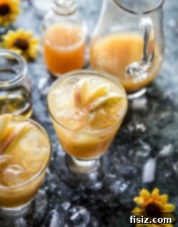 Final Apple Bourbon Ginger Spritz with apple garnish