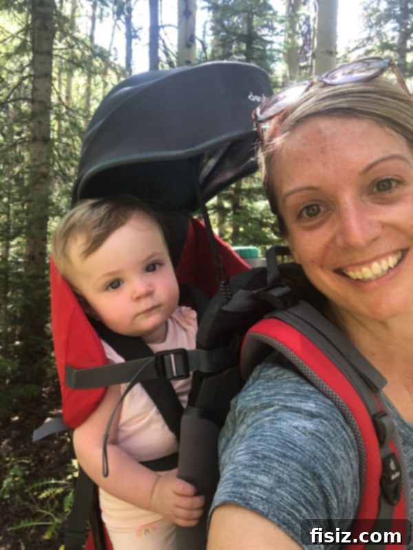 Month Eleven with Charlie 6 Baby Charlie comfortably seated in a child carrier backpack, enjoying her first mountain hike with a sun canopy protecting her. The image captures a scenic outdoor family adventure.