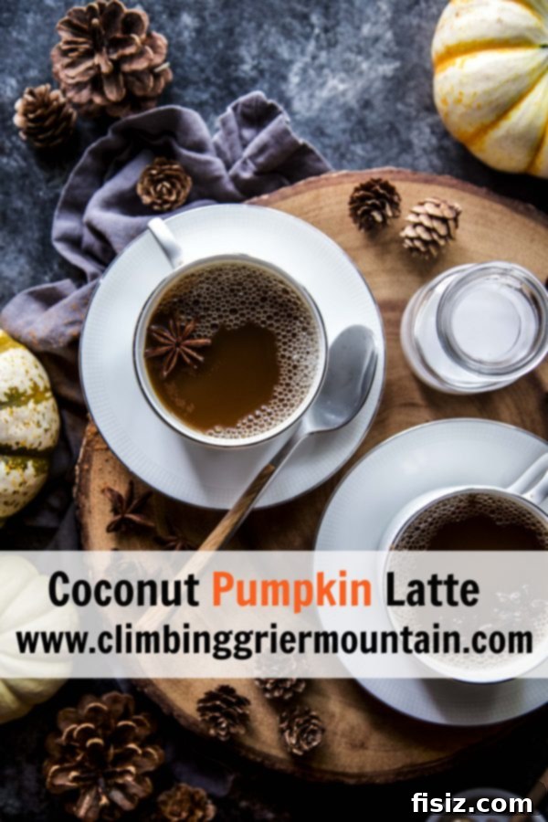 Spiced Coconut Pumpkin Latte 9 A close-up of the delicious Coconut Pumpkin Latte, ready to be enjoyed