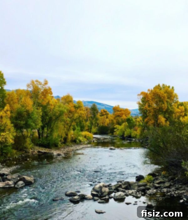Our First Year with Charlie 14 Family photo in Steamboat Springs during peak fall foliage, with vibrant autumn colors in the background.
