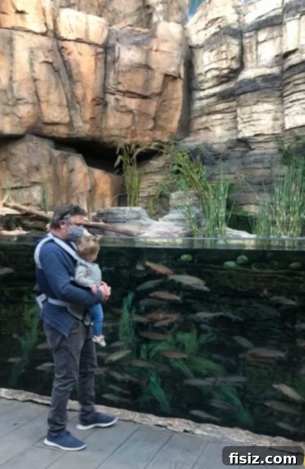 Our First Year with Charlie 18 Charlie at an aquarium, looking at the fish with wonder, enjoying a family outing.