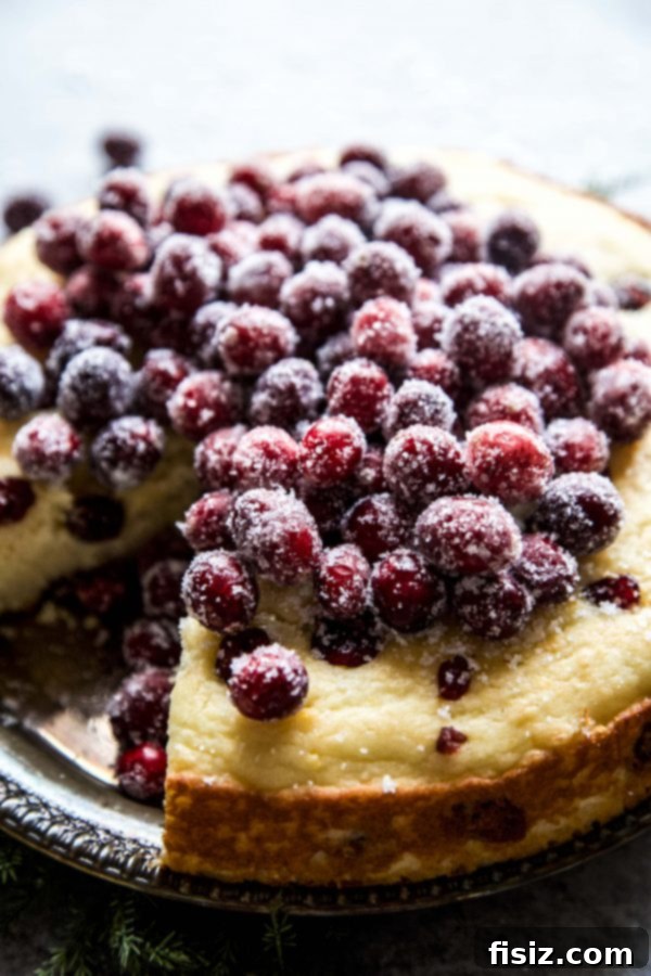 Effortless Cranberry Ricotta Cake 3 Close-up of a slice of Cranberry Ricotta Cake, showing its moist texture