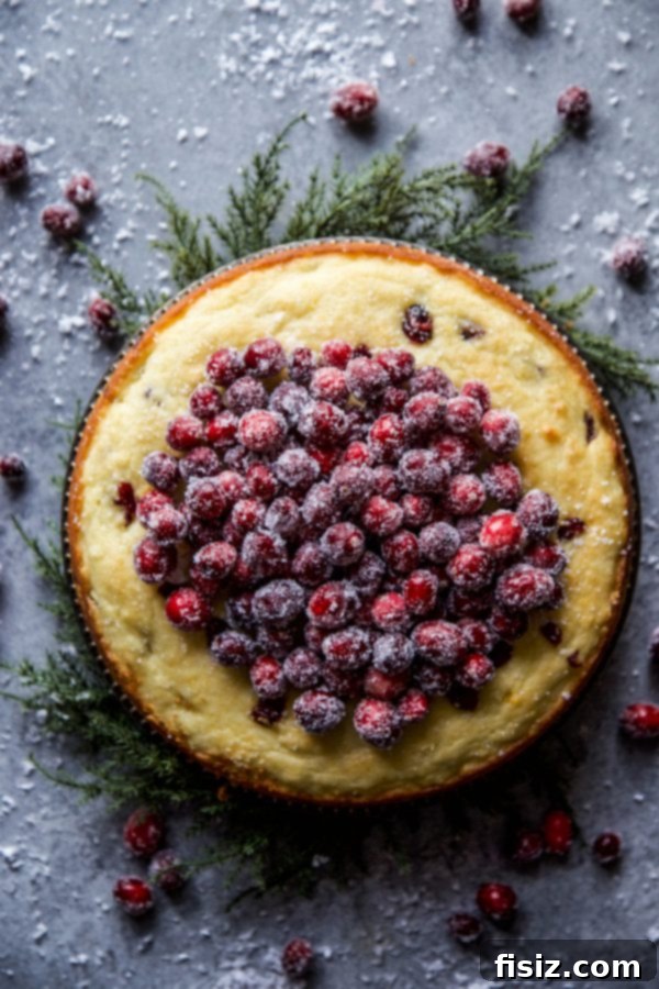 Effortless Cranberry Ricotta Cake 4 Ingredients for Easy Cranberry Ricotta Cake laid out on a kitchen counter