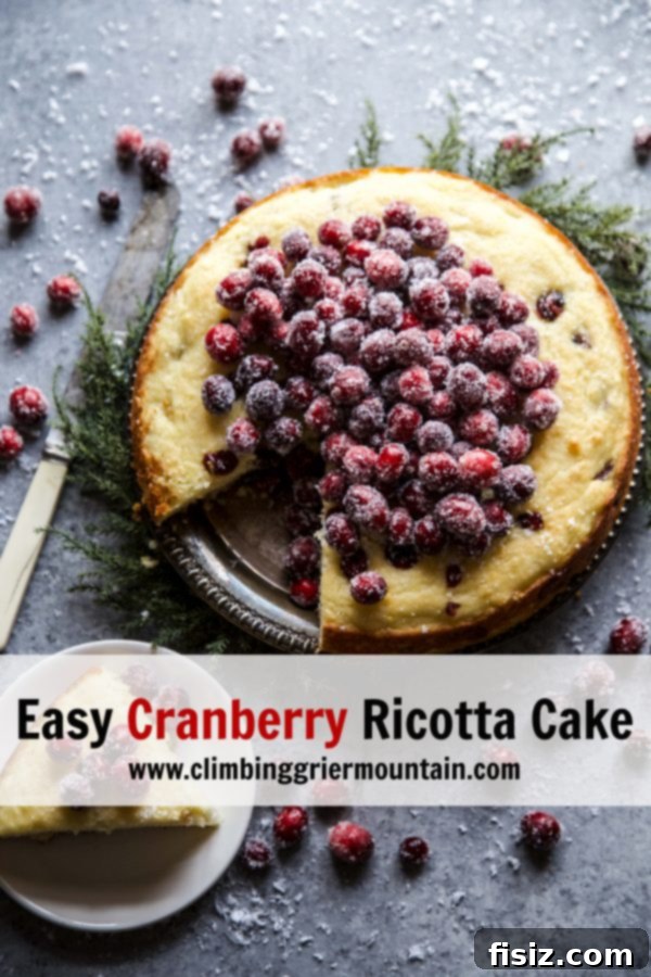 Effortless Cranberry Ricotta Cake 9 A close-up of a slice of Easy Cranberry Ricotta Cake with sugared cranberries on top
