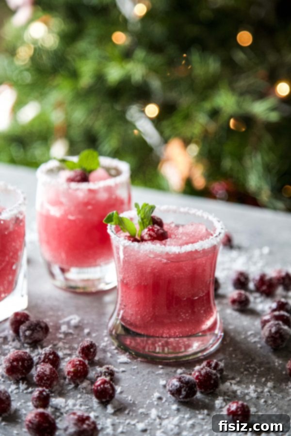 Mistletoe Kiss Margaritas 3 Close-up of a festive cranberry margarita with sugared cranberries, ready for holiday enjoyment.