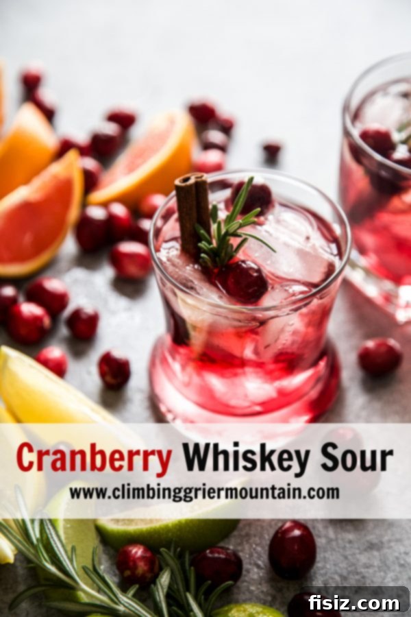 Ruby Red Whiskey Sour 8 Finished Cranberry Whiskey Sour cocktail, expertly garnished with cranberries and a cinnamon stick, ready to be enjoyed.